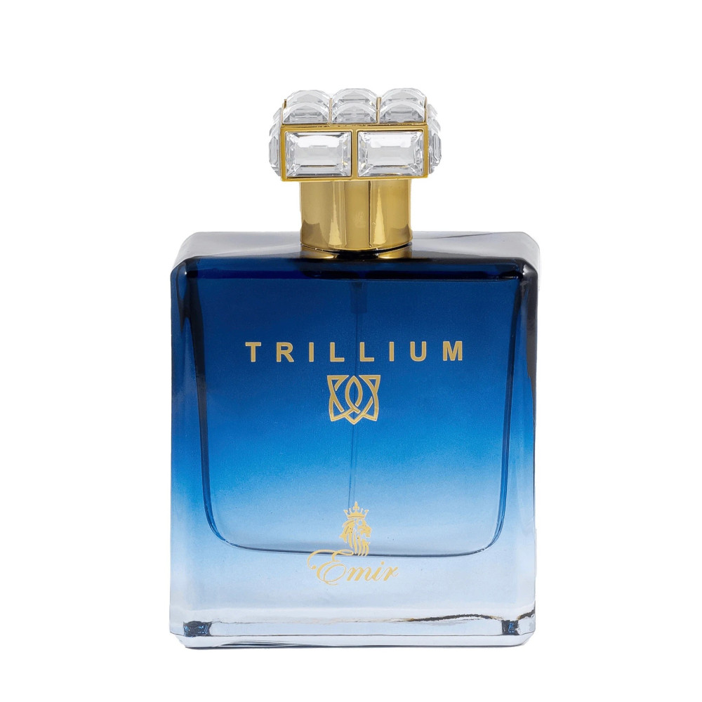 PERFUME EMIR TRILLIUM EDP 100ML UNISEX